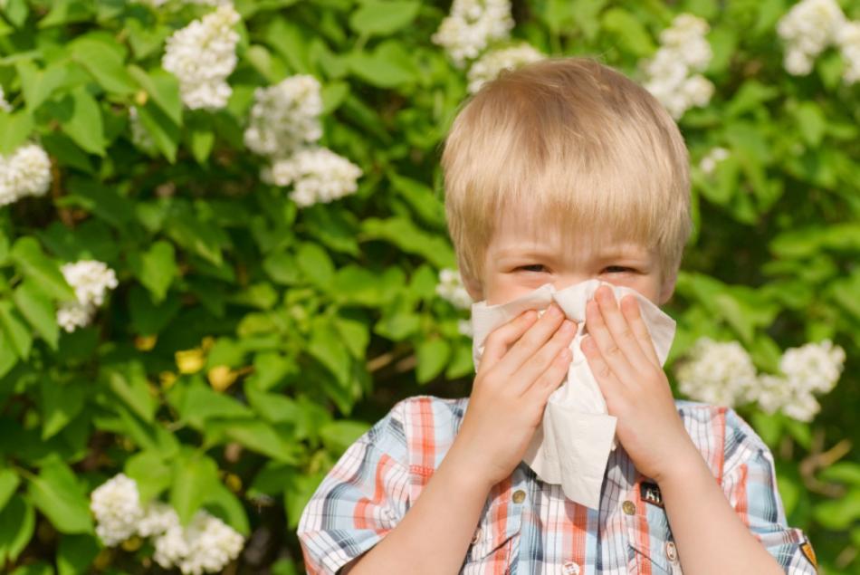 Анализы на аллергию у ребенка красноярск thumbnail